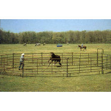 PVC Coated Fencing Livestock
